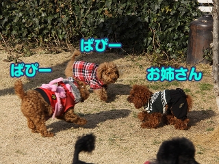 20140201_21.jpg
