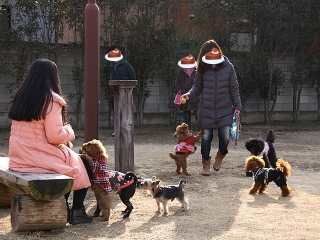 20140201_22.jpg