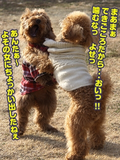 20140201_25.jpg