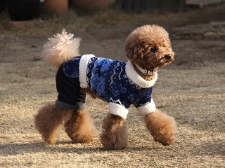 20140201_26.jpg