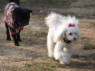 20140201_27.jpg