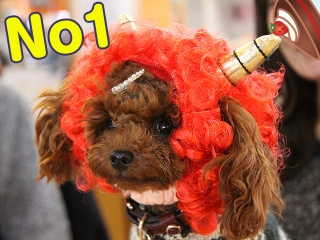 20140201_29.jpg