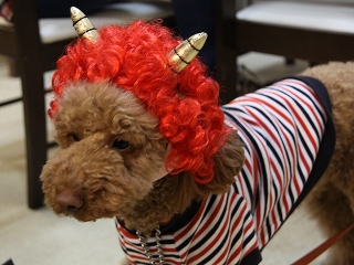 20140201_33.jpg