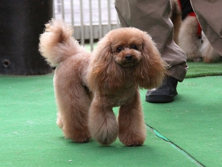 20140201_35.jpg