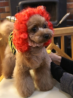 20140203_02.jpg