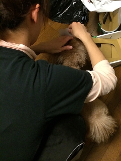 20140203_05.jpg
