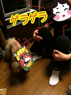 20140203_06.jpg