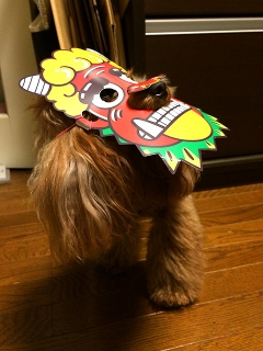 20140203_07.jpg