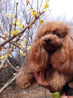 20140203_10.jpg