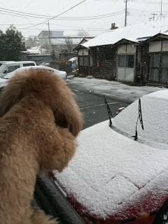 20140208_01.jpg