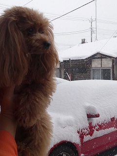20140208_05.jpg
