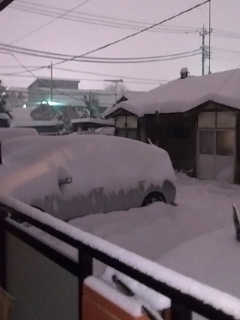 20140208_06.jpg