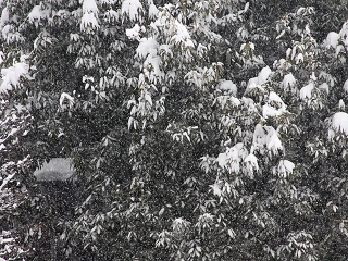 20140208_15.jpg