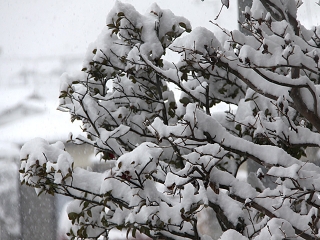 20140208_16.jpg