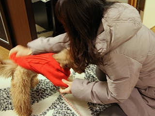 20140208_19.jpg