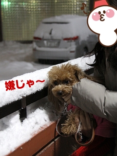 20140208_21.jpg
