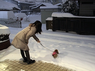 20140208_22.jpg
