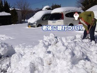20140209_09.jpg