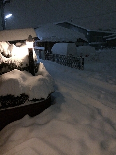 20140209_11.jpg