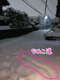 20140209_12.jpg