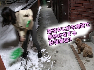 20140209_24.jpg