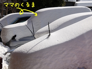 20140209_27.jpg