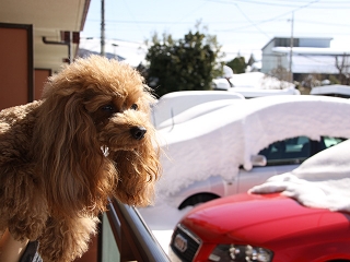 20140209_29.jpg
