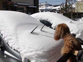 20140209_30.jpg
