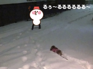 20140209_32.jpg