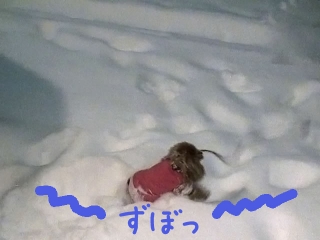 20140209_34.jpg