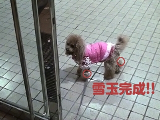 20140209_35.jpg