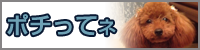 bunner03.png