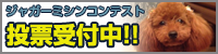 bunner04.png