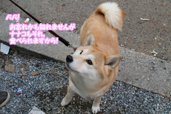 8_20130112181633.jpg