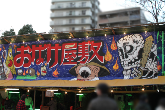 9_20130112181635.jpg