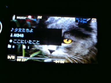 nana壁紙