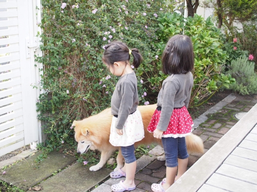 ゆりくんと