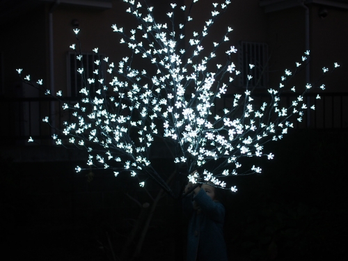 光の木