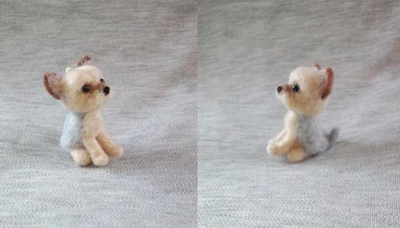 yo1.jpg
