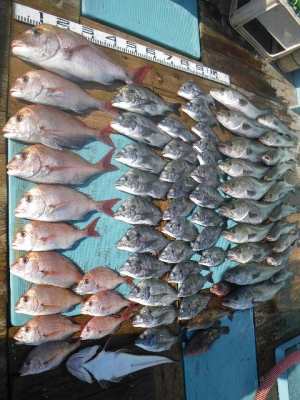 IMGP5600.jpg