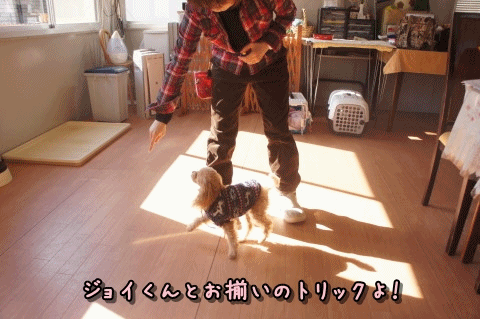 anigif_20140124194402ac9.gif