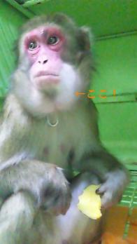 20121031-1.jpg