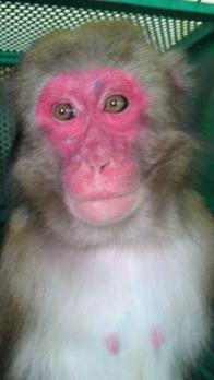 20121031-2.jpg