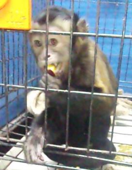 20121031-3.jpg
