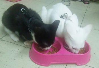 20121031-4.jpg