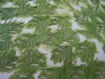 植物 (3)