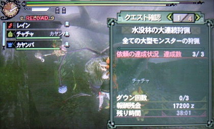 猫と狩る Mh日記 Mh3g 水没林の大連続狩猟