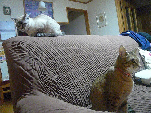 P1050712.jpg