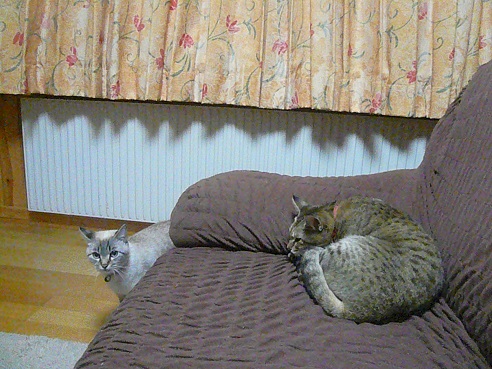 P1050724.jpg