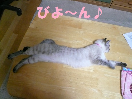 P1080050.jpg